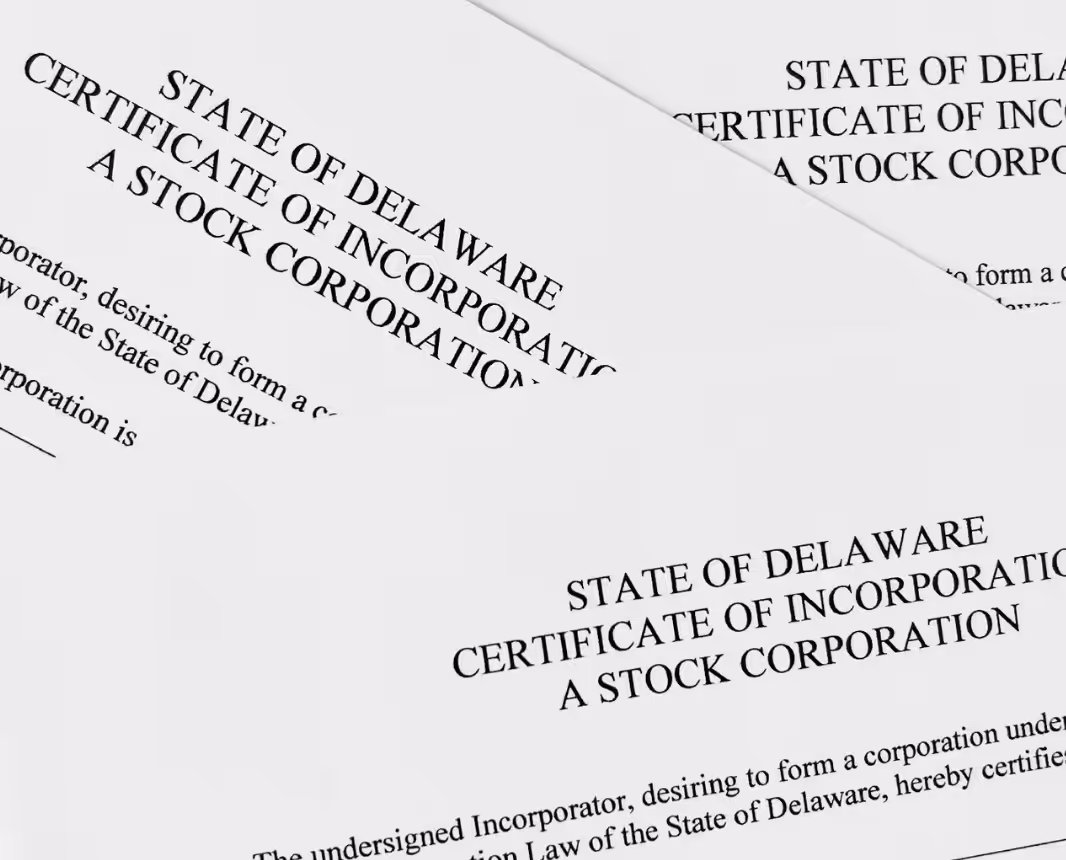 Consultation about forming a Delaware corporation, reviewing details on a laptop